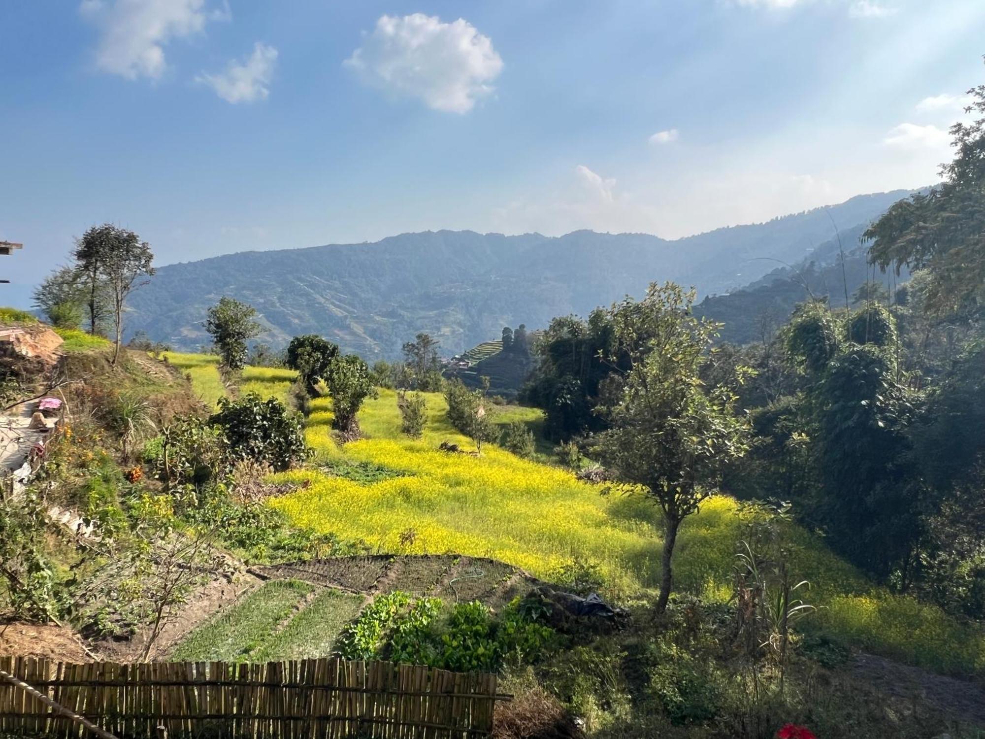 Village View 2* Nagarkot